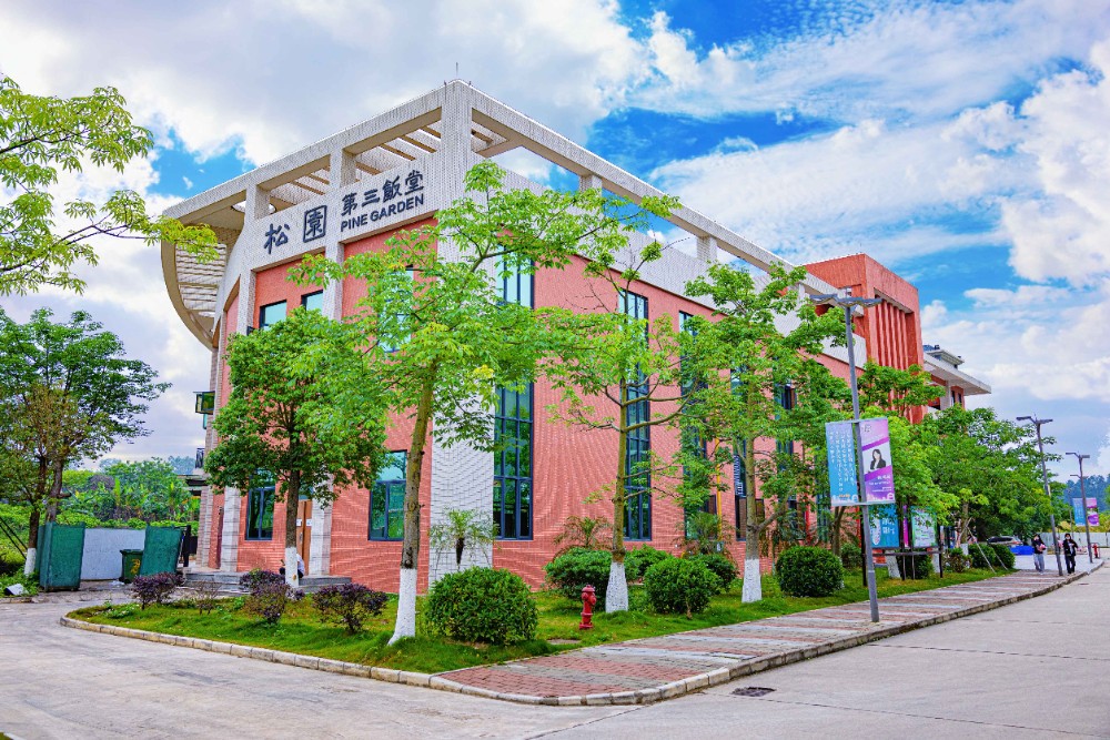 广东岭南现代技师学院